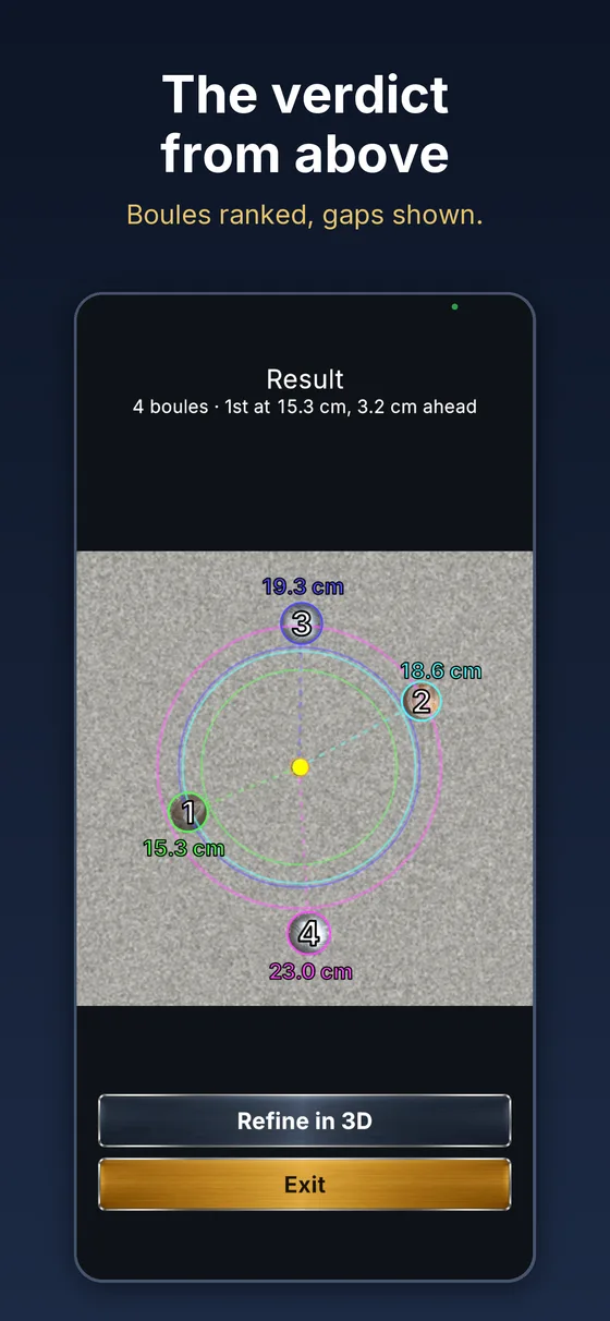 The result seen from above, boules ranked from nearest to farthest